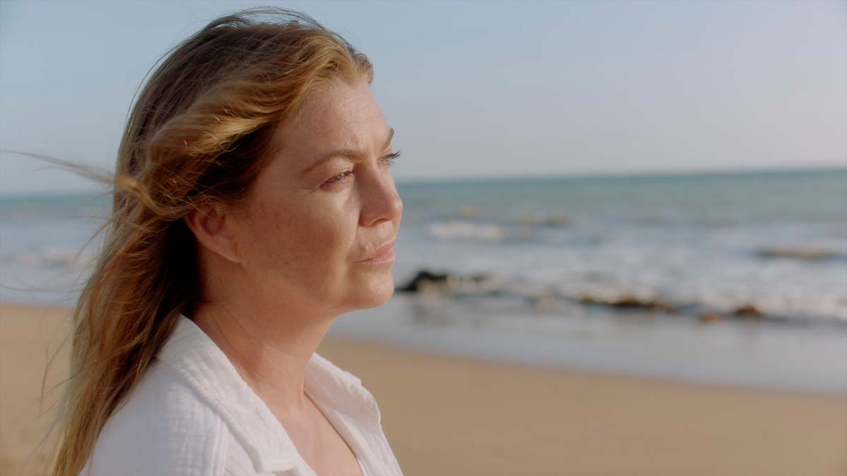 Grey's Anatomy season 17