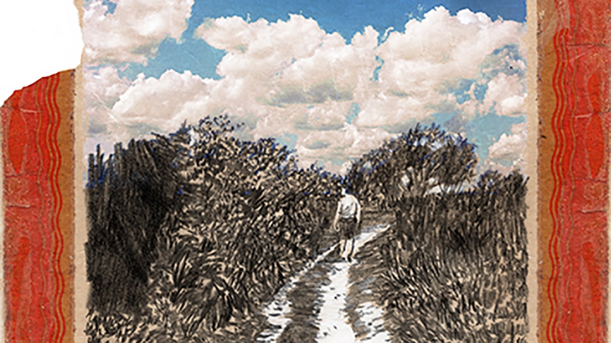 The Folio Society Thomas Hardy