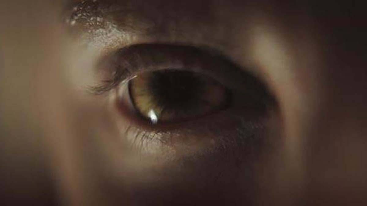 Arrow Video FrightFest 2021