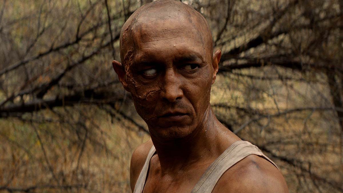 Sweetie, You Won't Believe It