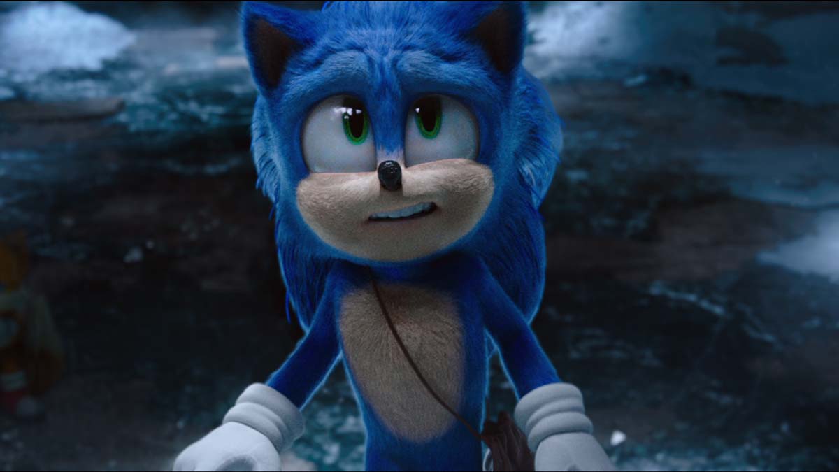 Sonic The Hedgehog 2