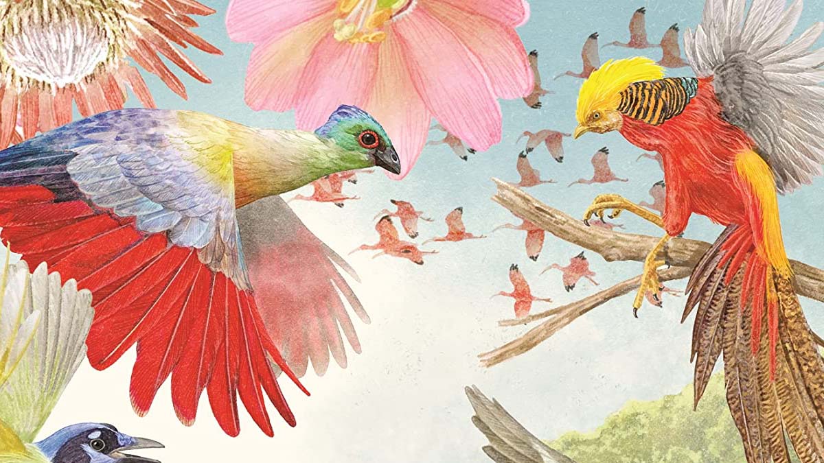 Around the World in 80 Birds