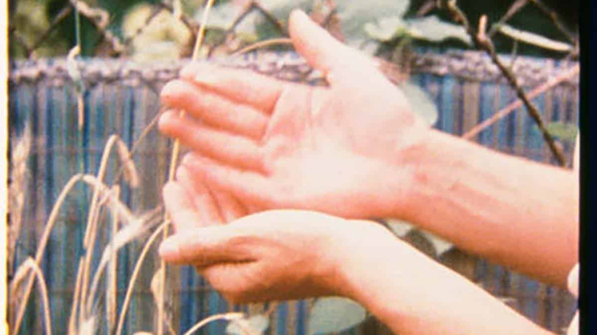 Jonas Mekas