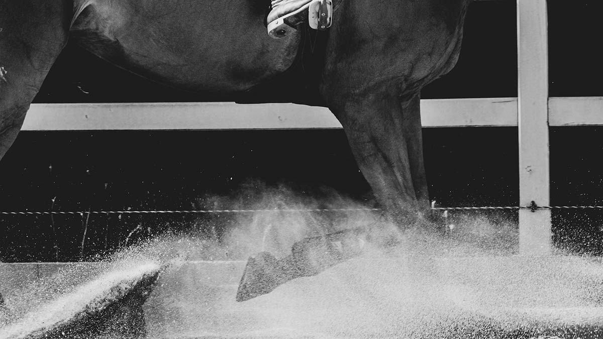 Horse racing