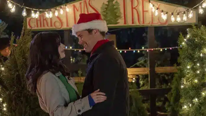 Our Christmas Wedding