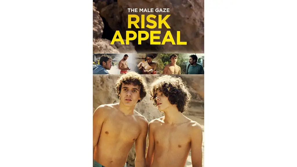 The Male Gaze: Risk Appeal
