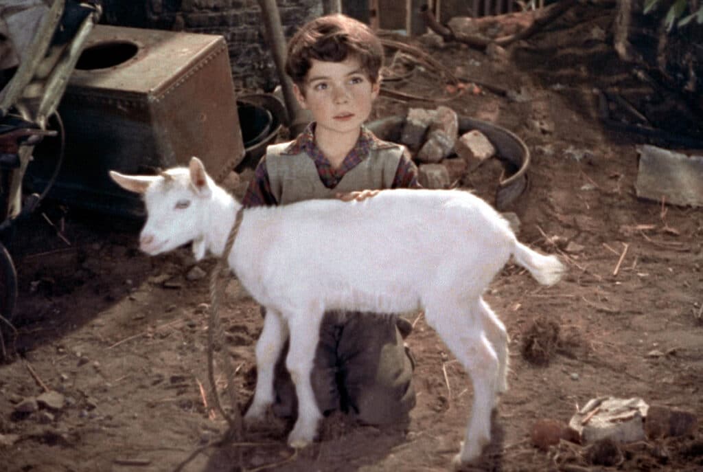 'A Kid for Two Farthings'