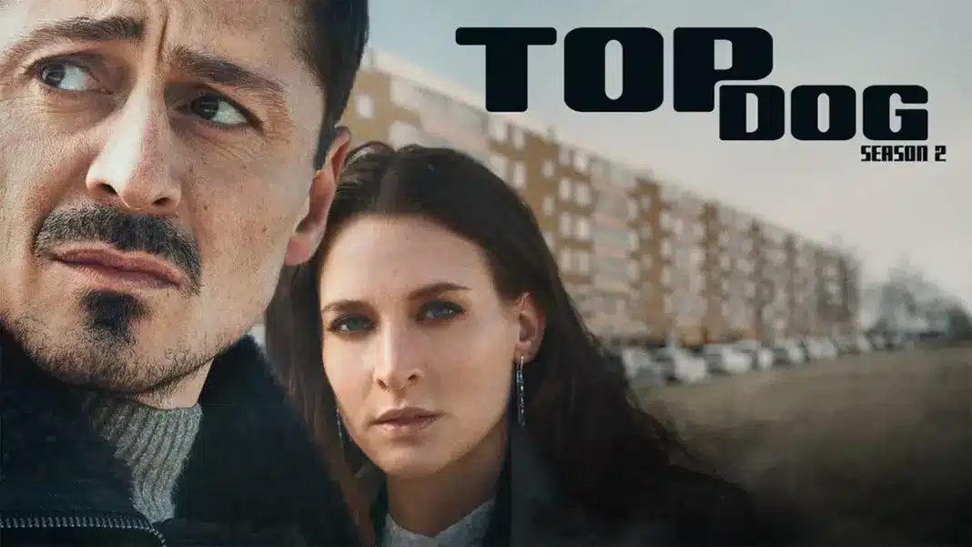 Walter Presents: Top Dog Season 2