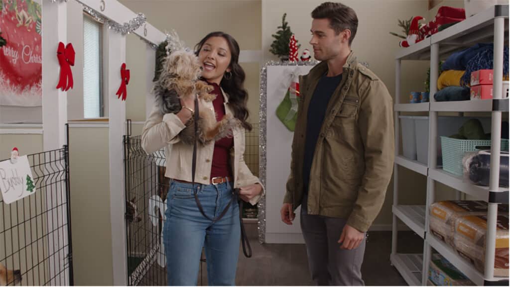Ash Tsai and Eric Guilmette star in A Shelter and Season’s Greetings (wt), part of Great American Christmas 2024.