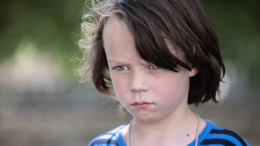 Walter Presents: Visions