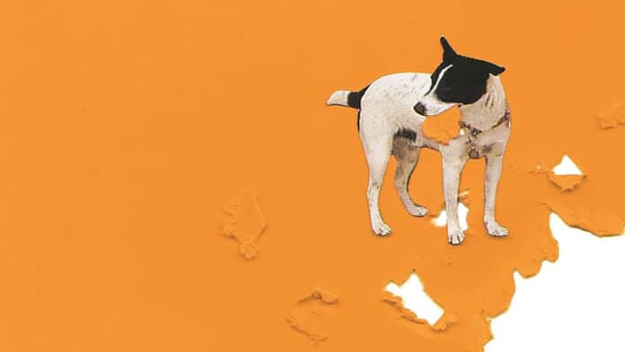 'The Happiness of Dogs'