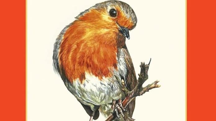 'Bob the Robin'