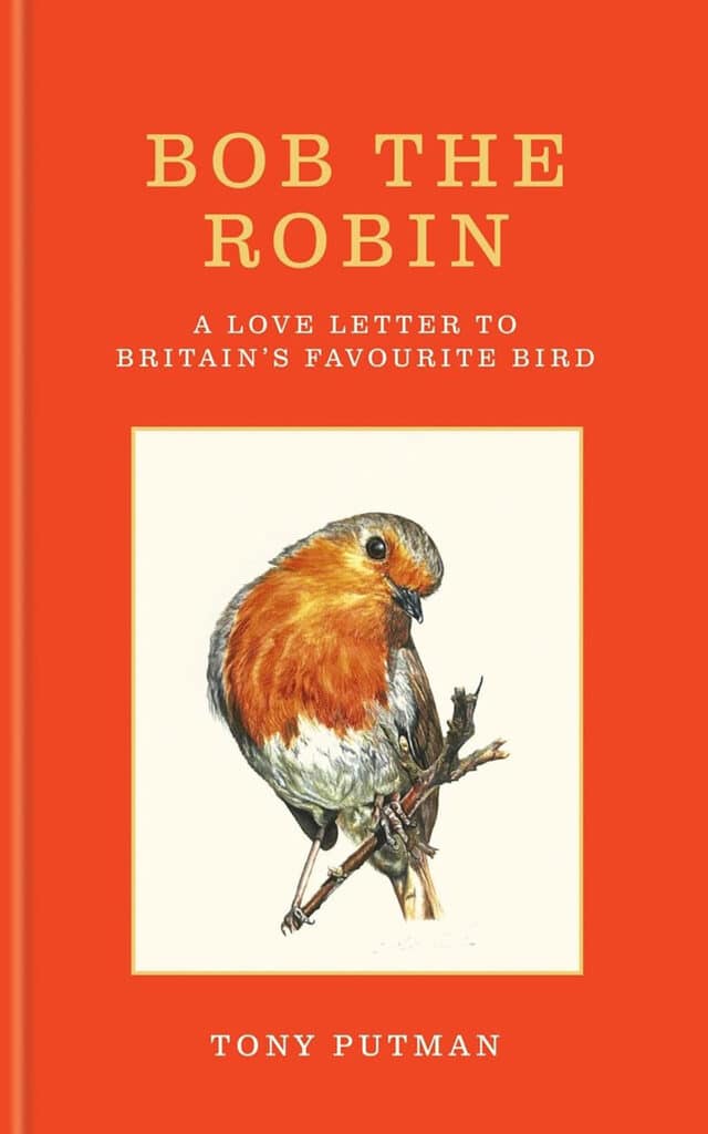 'Bob the Robin'
