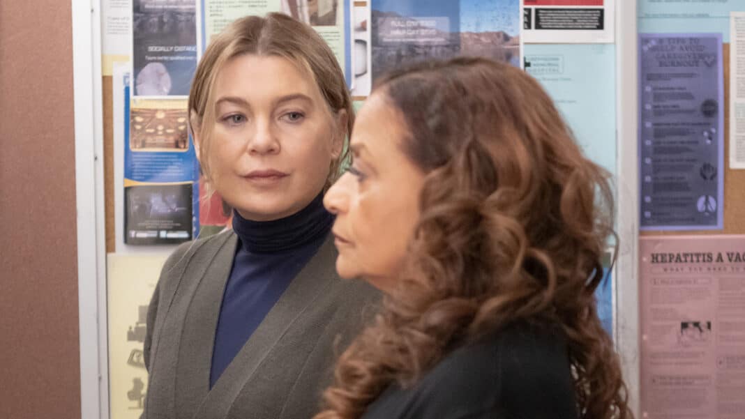 Grey's Anatomy Season 21