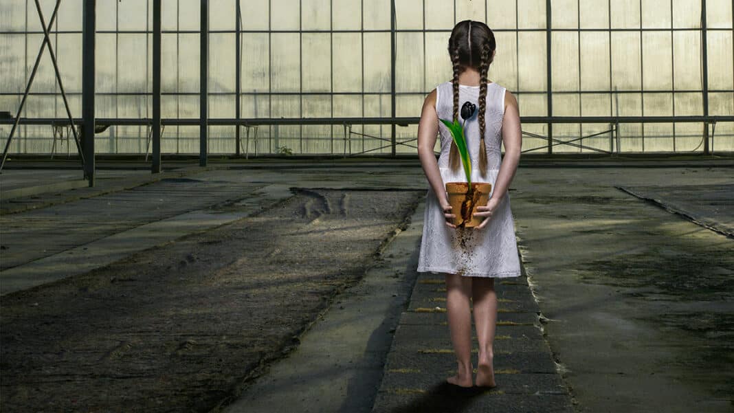 Walter Presents: Black Tulips