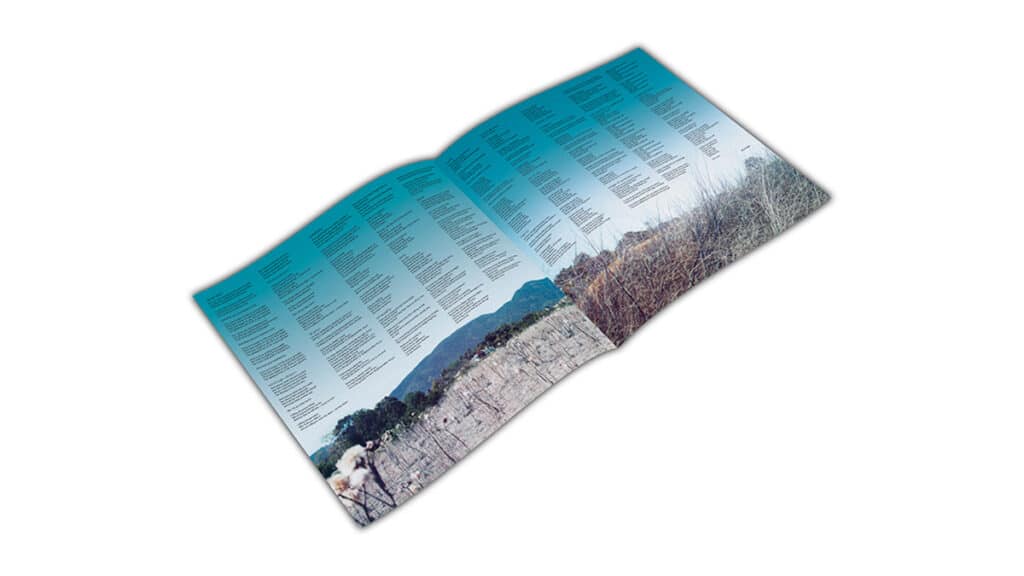 Alanis Morissette - Havoc and Bright Lights