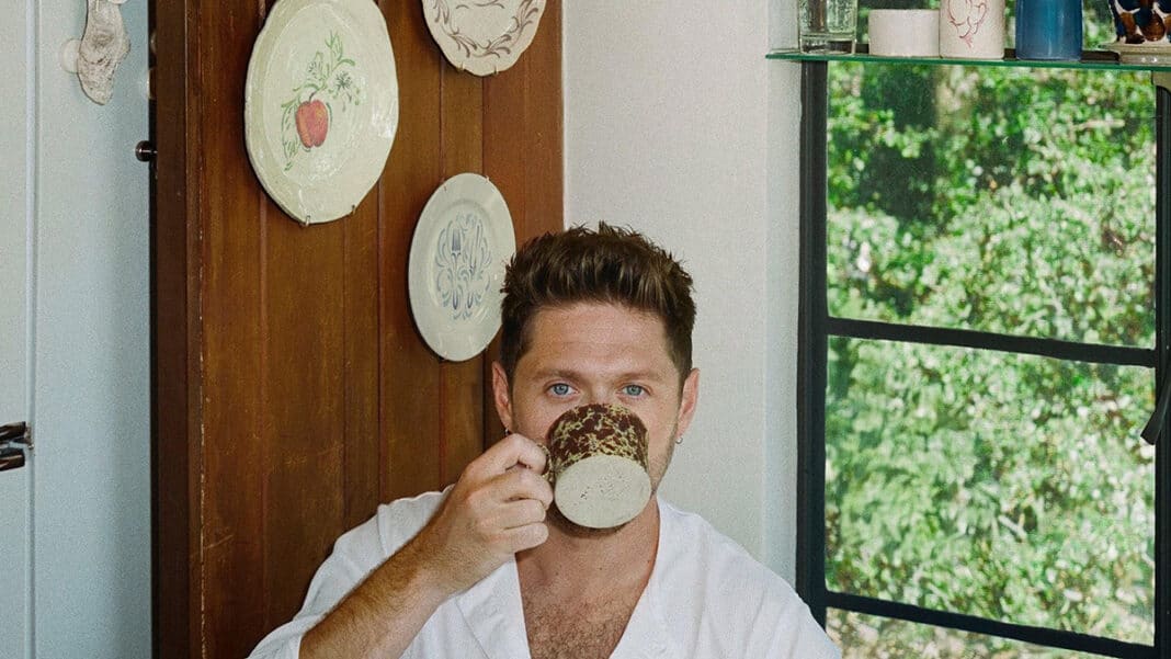 Niall Horan - Dinner Party