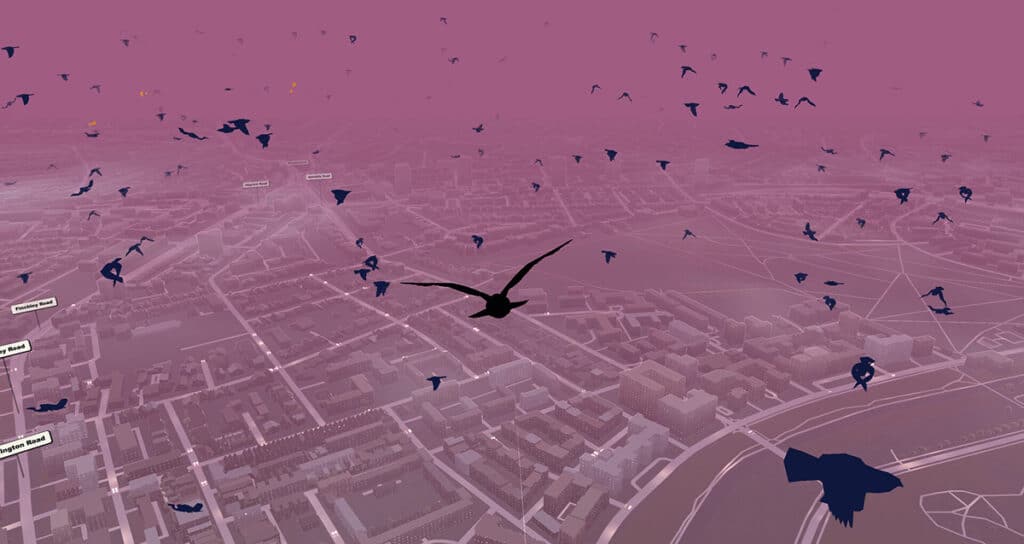 Pigeon: A Love Story