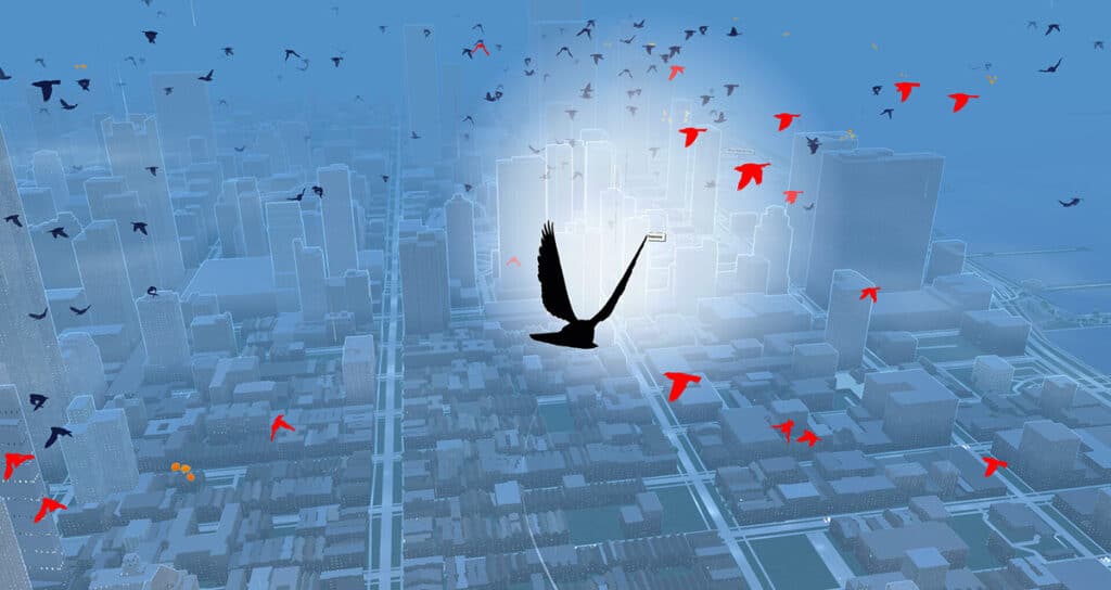 Pigeon: A Love Story