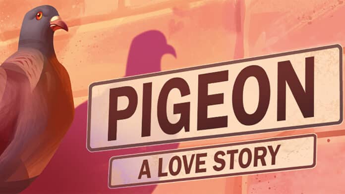 Pigeon: A Love Story