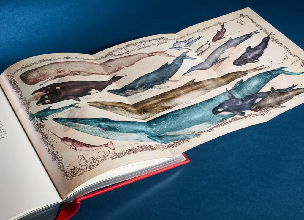The Folio Society 'Moby-Dick'